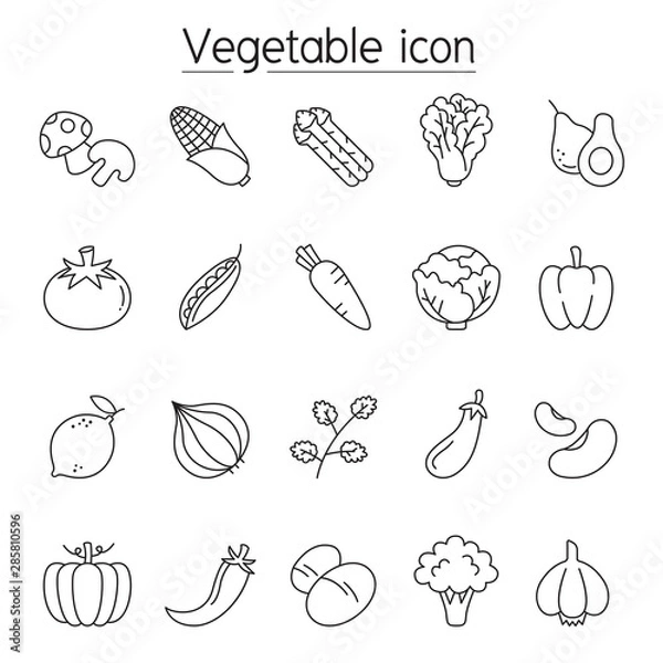 Obraz Vegetable icon set in thin line style