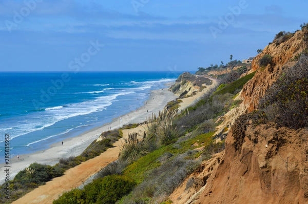 Obraz Beautiful landscape of the ocean coastline at Torrey Pines State Reserve; the many natural greens and browns of the shore contrast with the saturated blue sky and sea