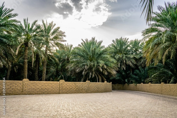 Obraz The Al Ain Oasis