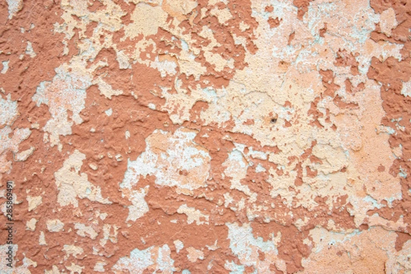 Obraz Peach Wall Texture