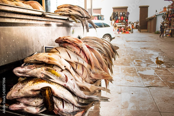 Obraz Fish Market