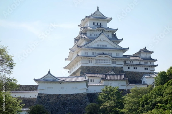 Fototapeta 世界遺産　姫路城