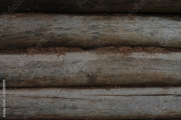 Obraz old wood texture background