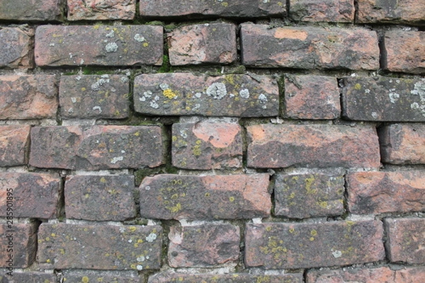 Obraz old brick wall