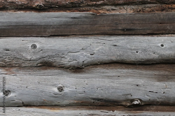 Obraz old wood texture background