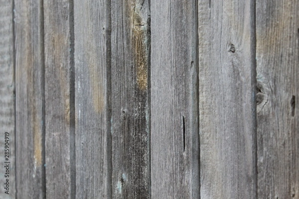 Obraz old wood texture background