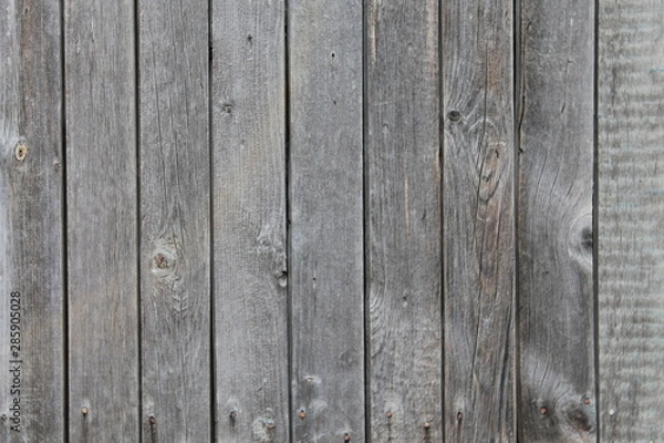Obraz old wood texture background