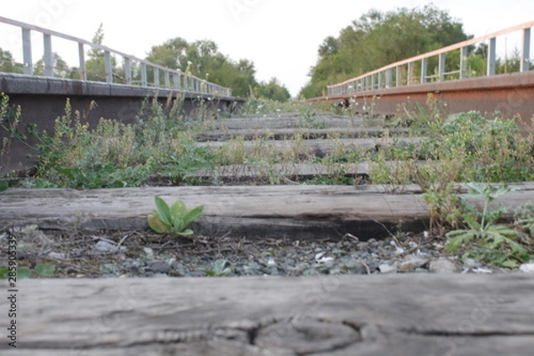 Obraz bridge over the river