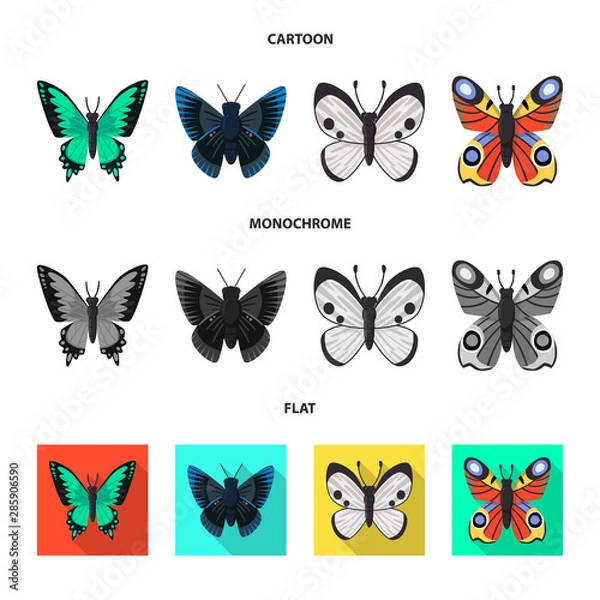 Fototapeta Vector illustration of exotic and botanic logo. Collection of exotic and tropics stock symbol for web.