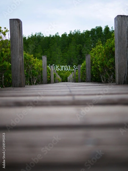Fototapeta bridge in park