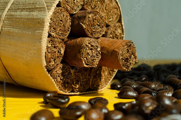 Fototapeta Cigars in a wrapper