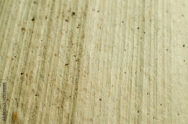 Fototapeta old wood texture background