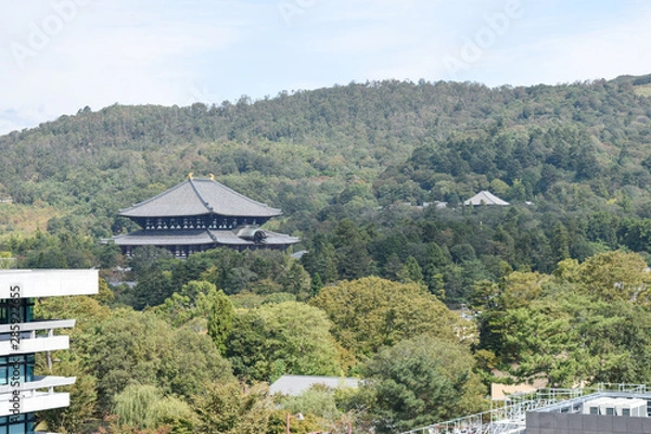 Obraz 奈良県　都市風景