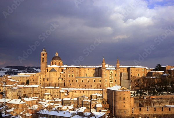 Obraz urbino