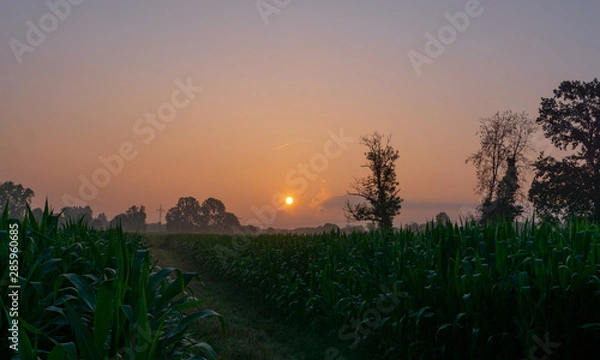 Obraz Sonnenaufgang Feld