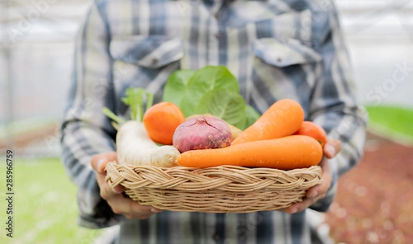 Obraz Farmer holding a basket of organic vegetables.