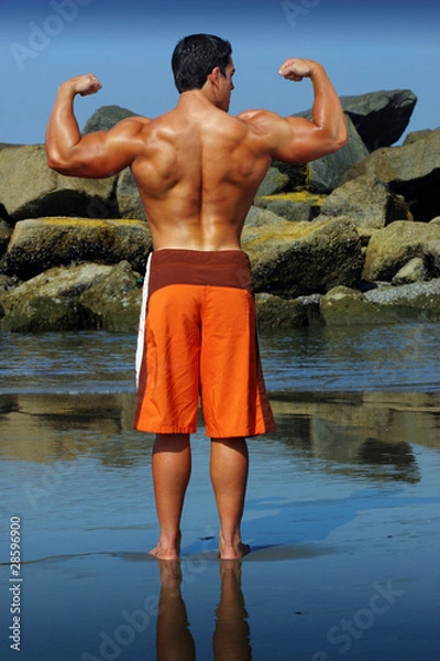 Obraz Bodybuilder back