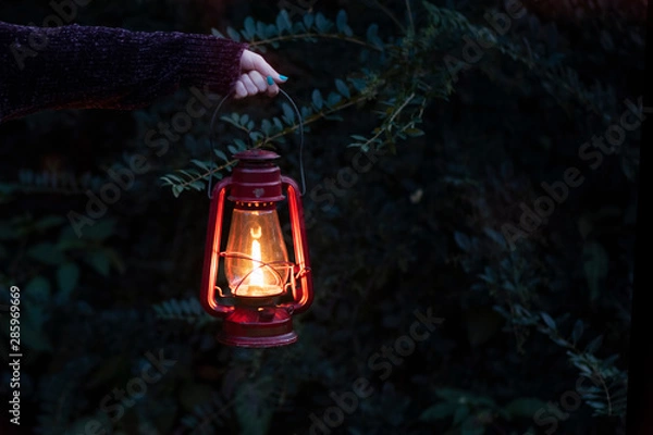 Fototapeta Girl holding a Lit Lantern in the forest 