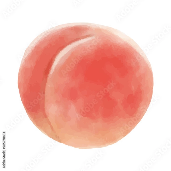 Fototapeta 桃　フルーツ　水彩　ベクターイラスト