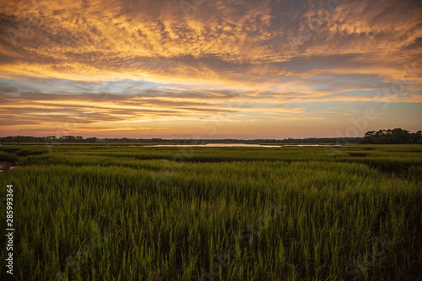 Obraz sunset over marsh