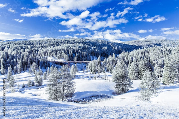 Obraz winter in mountains