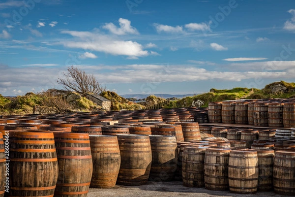 Fototapeta Rows of used whiskey barrels of graduating sizes sit in front of windswept coastal grassy hills below deep blue skies at Ardbeg Distillery in Scotland