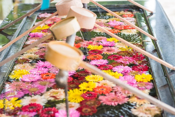 Obraz ガーベラの手水舎