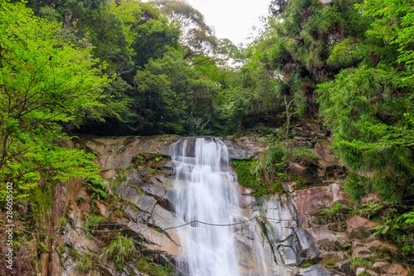 Fototapeta 白糸の滝（上野峡）　福岡県田川郡