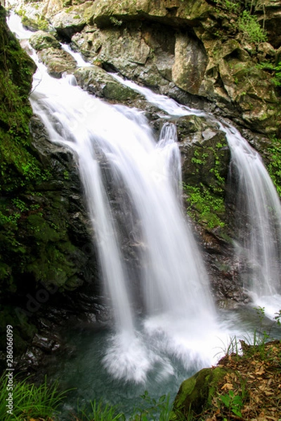 Fototapeta 轟九十九滝