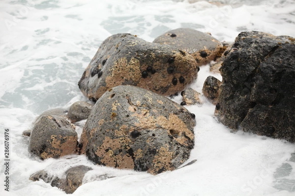 Obraz rocks on the beach