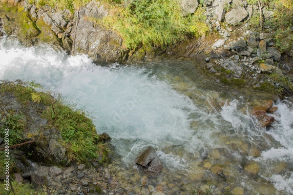 Obraz stream in forest