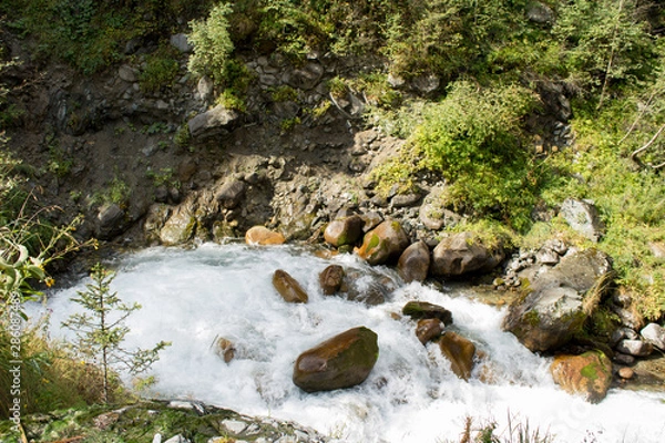 Obraz stream in forest