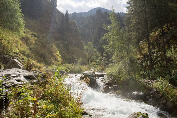 Obraz river in mountains