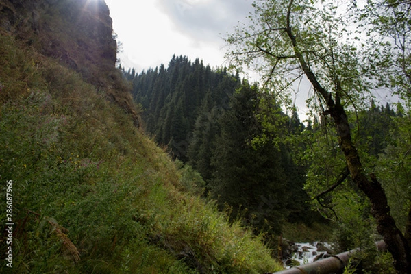 Obraz road in forest