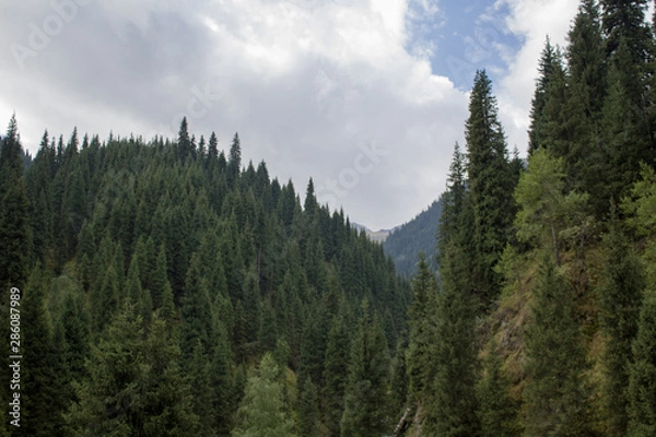 Obraz view of mountains