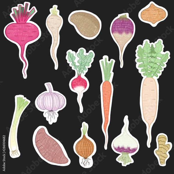 Fototapeta illustrations set vegetables