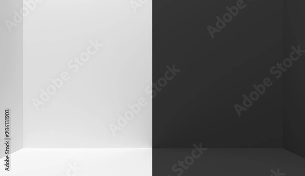 Fototapeta Black and white  interior divided in half into two parts in the middle. Empty blank room with copy space.  One half is white, the other half is black. 3D rendering.