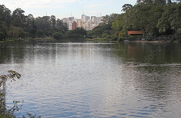 Fototapeta Ibirapuera