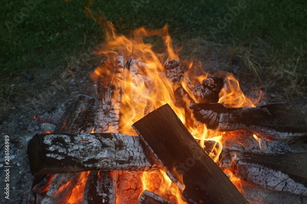 Obraz campfire