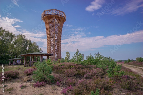 Obraz Aussichtsturm Heidelandschaft