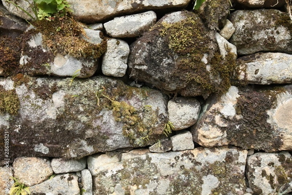 Obraz stone wall with moss