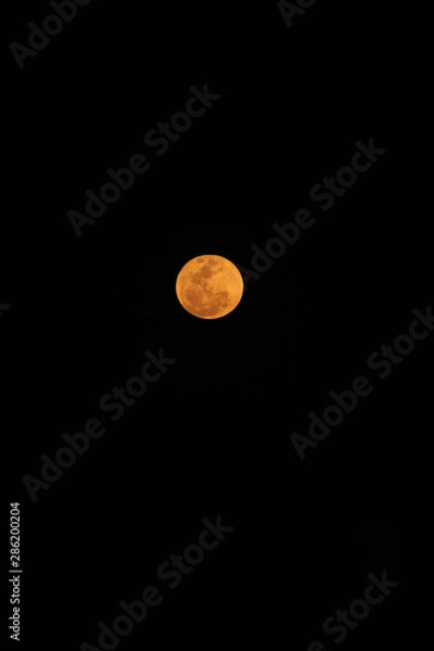 Obraz moon in the sky