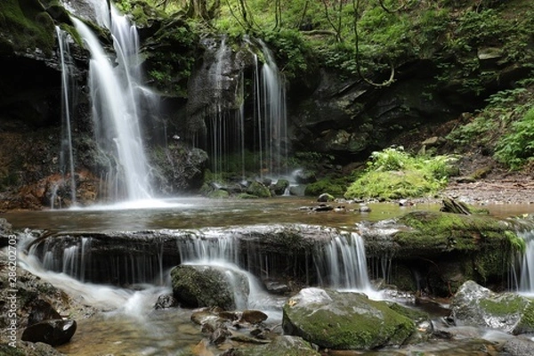 Fototapeta 猿壺の滝