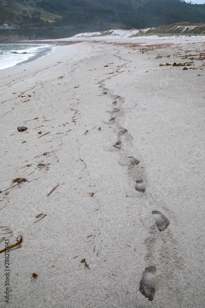 Fototapeta Single track of footprints through the sand