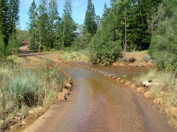 Obraz Dzika droga, Nowa Kaledonia