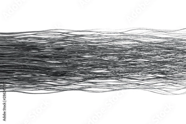 Obraz Wet brown hair isolated on white background