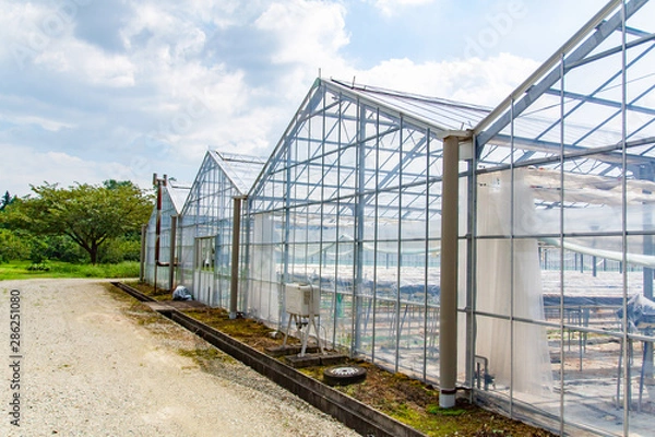 Obraz ビニールハウス