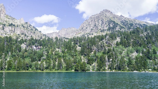 Obraz Mountains landscape with trees in summertime