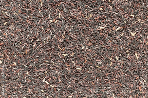 Fototapeta Top view of black rice