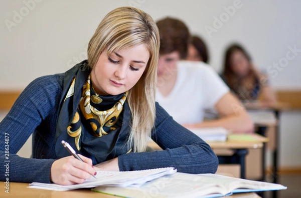 Fototapeta Student working on homework in classroom